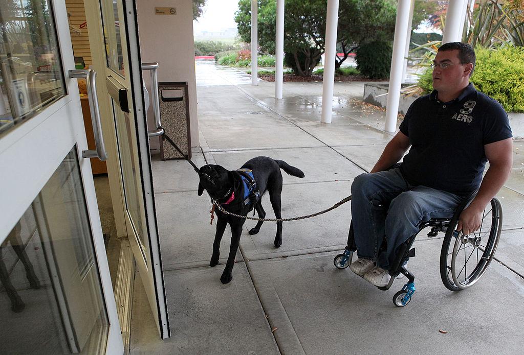formation en fauteuil roulant pour chien d'assistance