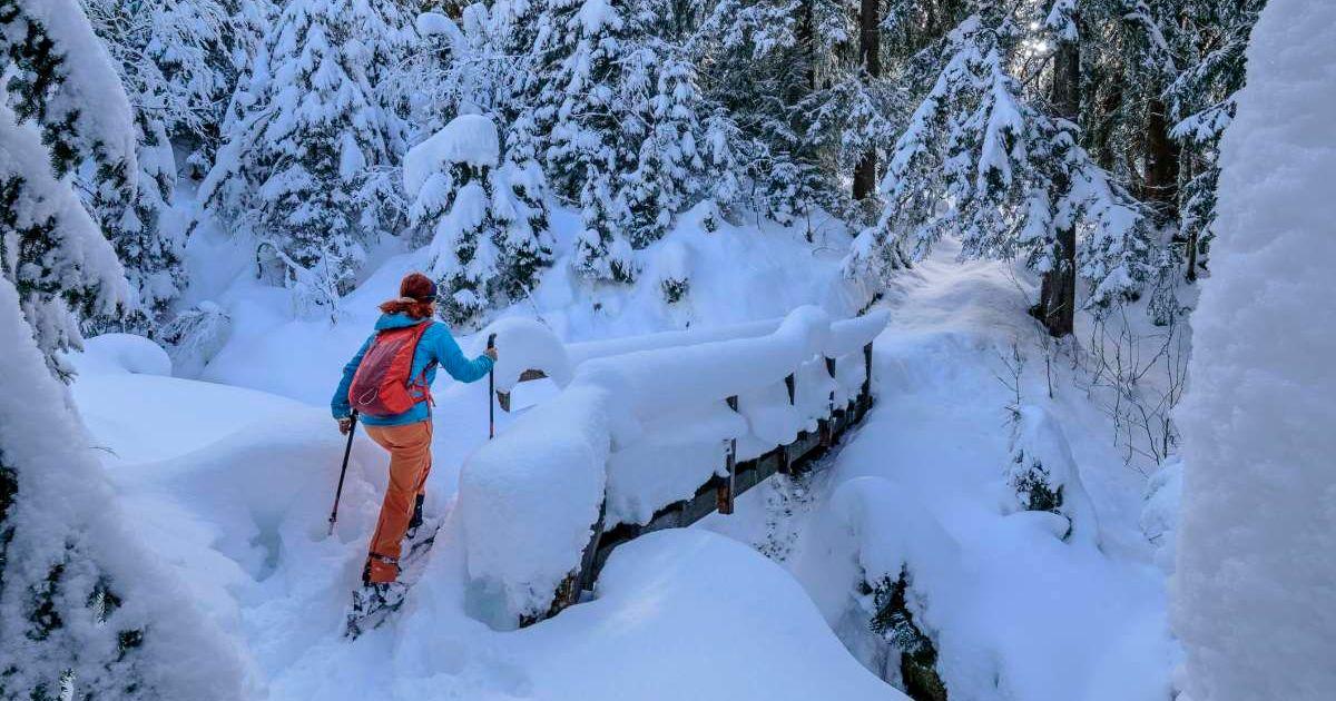 A woman crossing a snow-covered bridge (Representative Cover Image Source: Getty Images | Westend61)