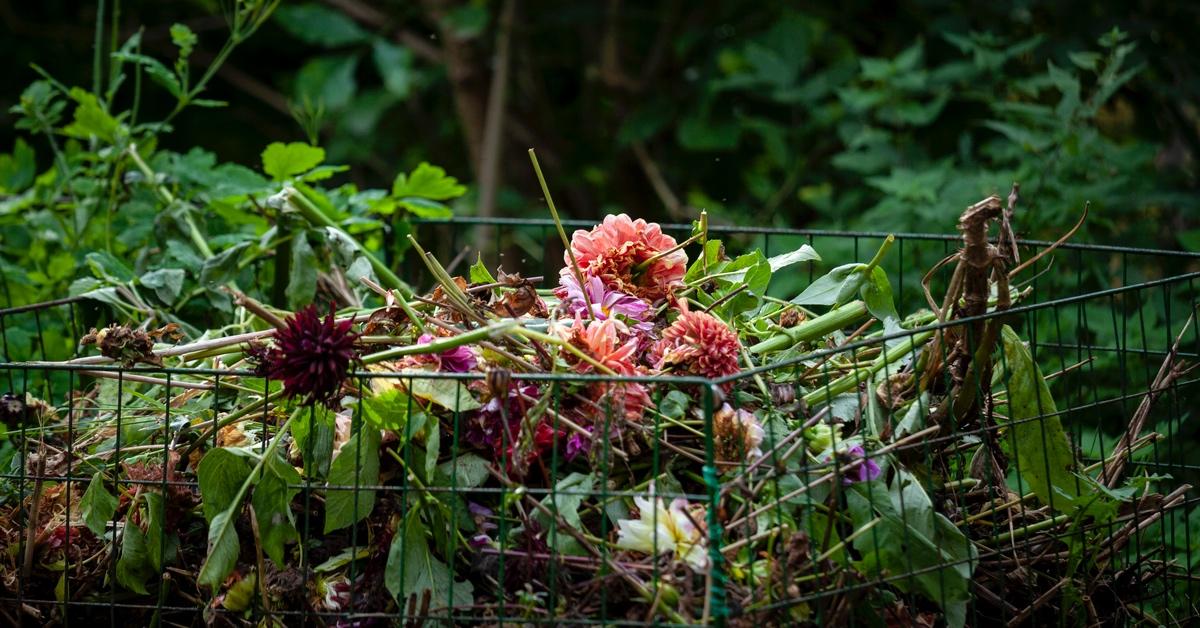 Pieces of flowers being used in composting in a garden. 