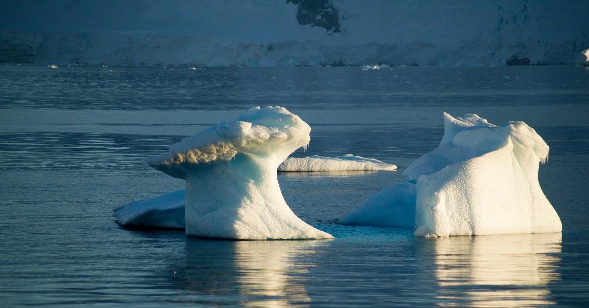 Melting artic ice floats in the water