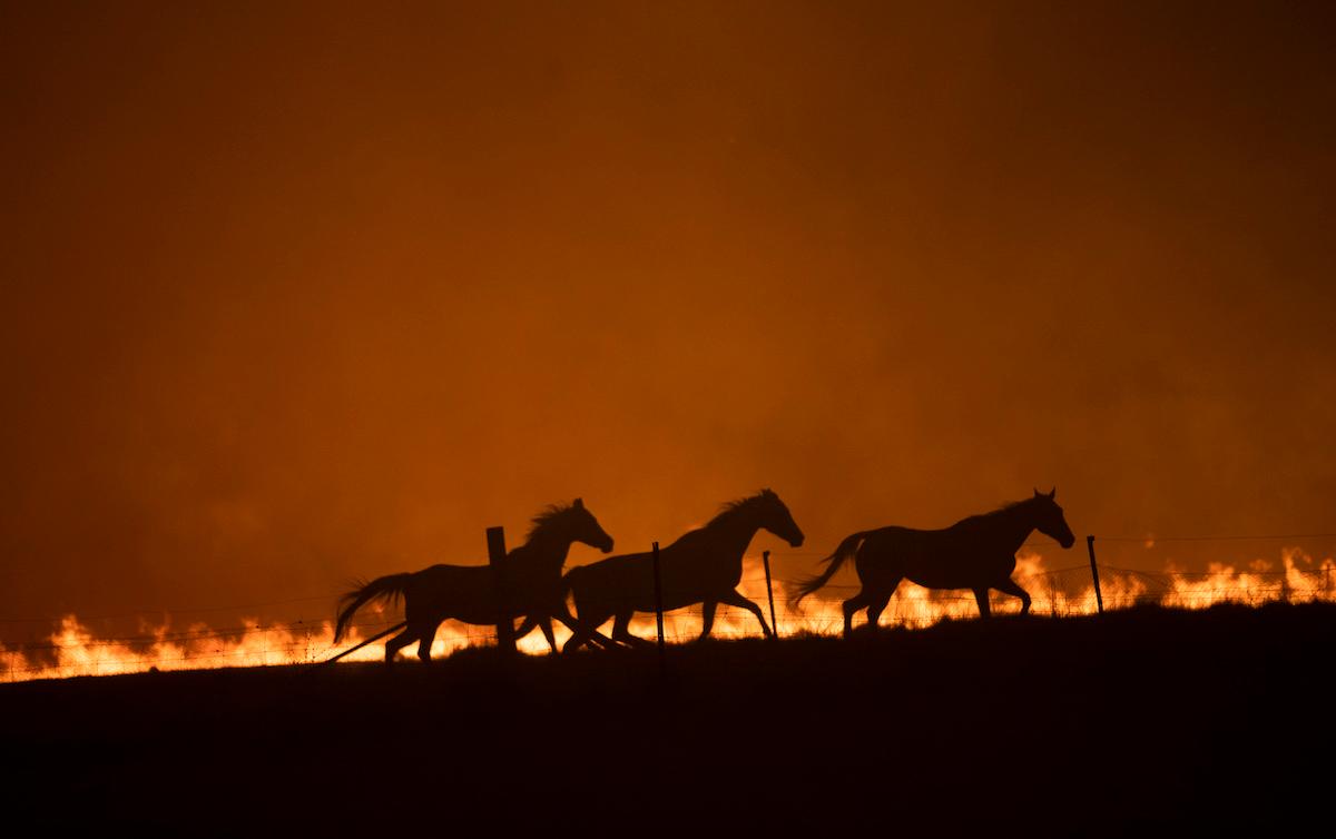 Amazon Prime’s ‘Burning’ Documentary Discusses the Damage Done by the