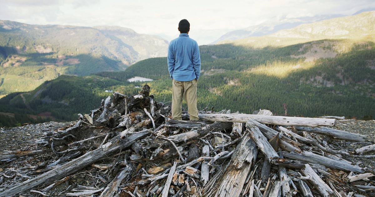 difference between deforestation and logging