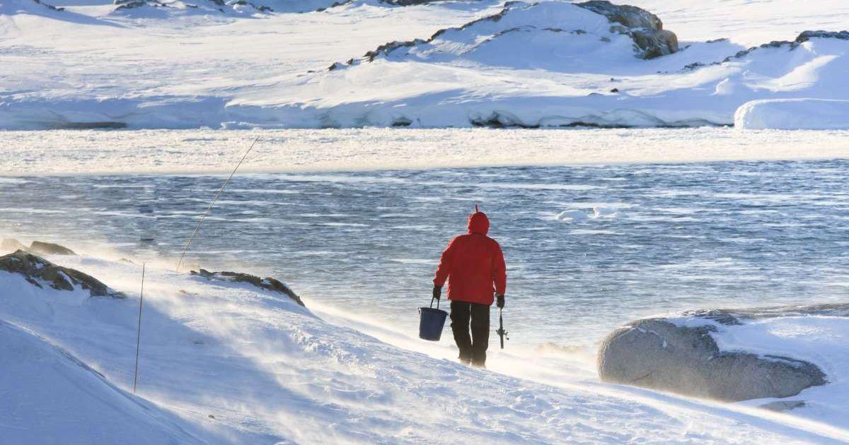 A man looking at Antarctic meltwaters. (Representative Cover Image Source: Getty Images | Goinyk)