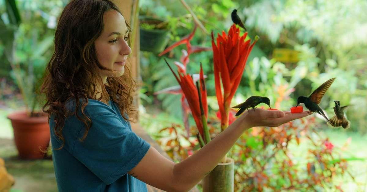 A woman is feeding hummingbirds with sugar water in a tiny feeder. (Representative Cover Image Source: Getty Images | Oleh Slobodenuik) 