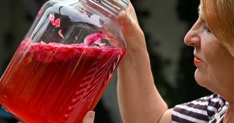 Owner of the Templin Rose Laboratory, Elena von Gieck, holds a jar of rose petals in apple cider vinegar