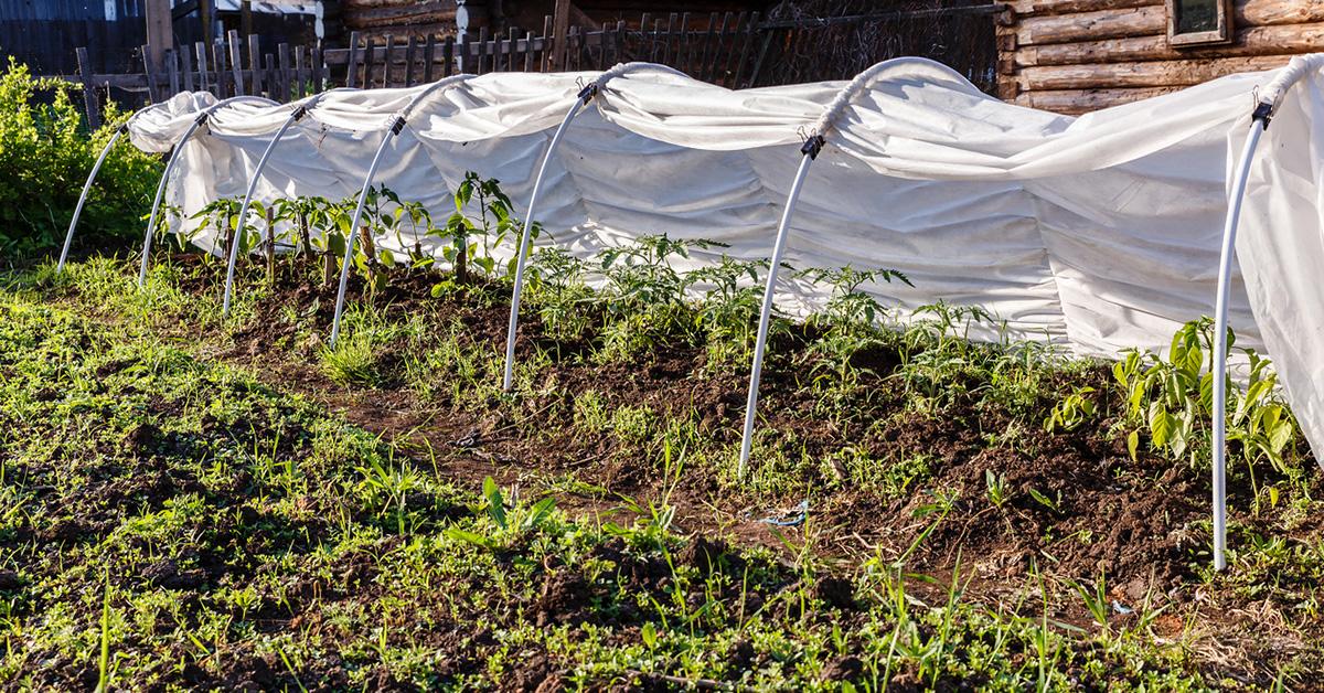 vegetable garden plant covers