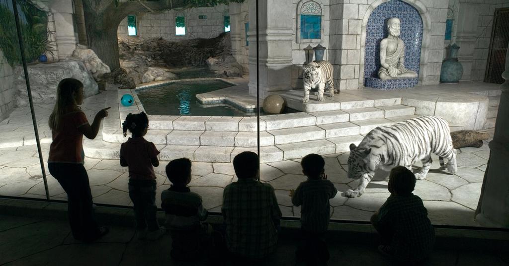 Should Zoos Exist Many Don t Seem To Think So should-zoos-exist-many-don-t-seem-to-think-so