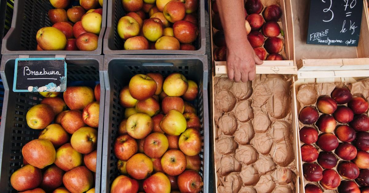 Several bins of apples are for sale in a small farmer's market