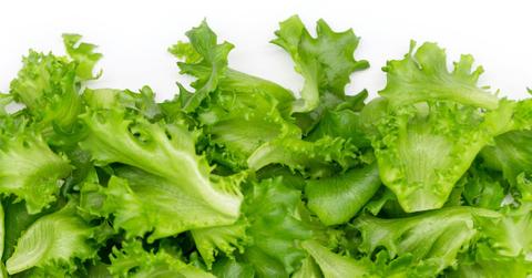 Loose leaf romaine is piled up on a plate