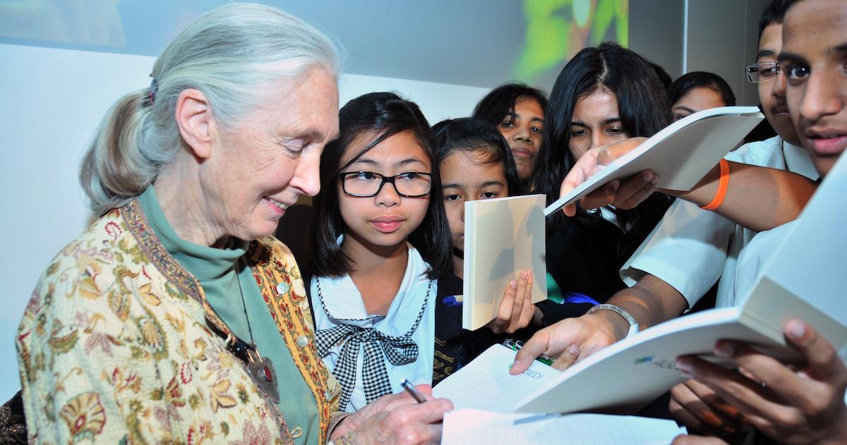 Jane Goodall 