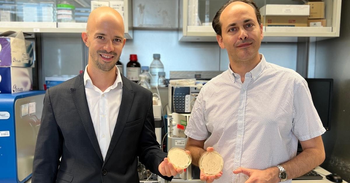 LabGrown Cheese Is the Newest Wave to Disrupt the Dairy Industry