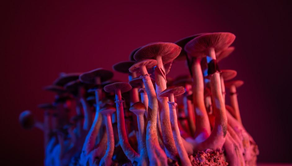 Where Are Psychedelics Legal? Everything to Know