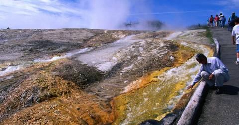 Visitors on a road near Yellowstone National Park's thermal area. (Representative Cover Image Source: Getty Images | John Elk)