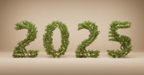 The year 2025 made out of plants in front of a beige background.
