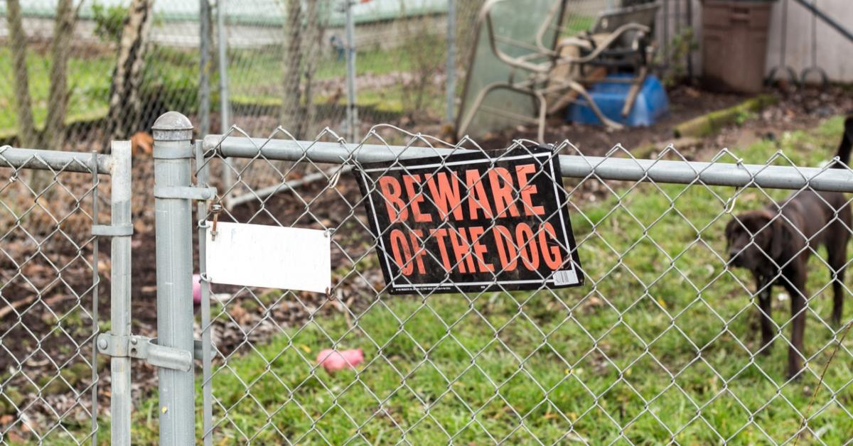 A dog stands behind a fence that has a beware of dog sign.