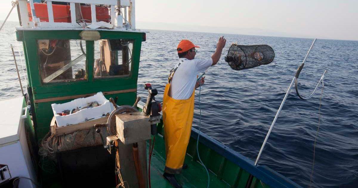 A fisherman standing on the boat in the ocean. (Representative Cover Image Source: Getty Images | Bueno Vista Images)