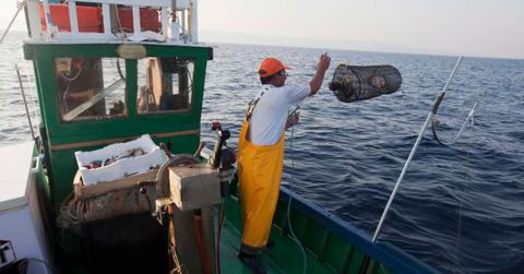 A fisherman standing on the boat in the ocean. (Representative Cover Image Source: Getty Images | Bueno Vista Images)