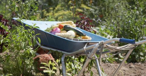 Is a zero-waste society possible?