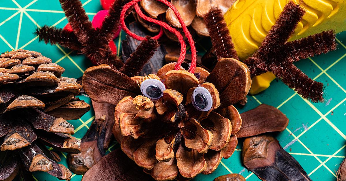 pinecone craft monsters