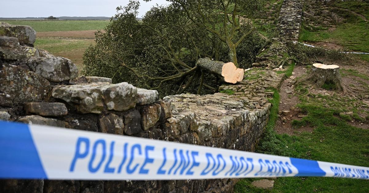 The historic Sycamore Gap tree was felled by a teen overnight on Sept. 27.