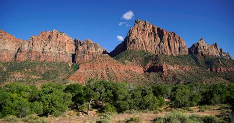 zion-2-1589558164902.jpg