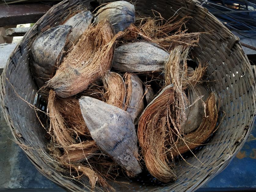 Dry coconut husks in basket. 