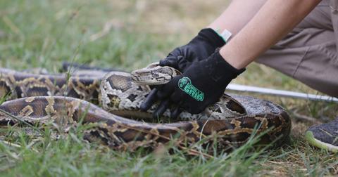 How the Spread of Invasive Species Relates to Climate Change