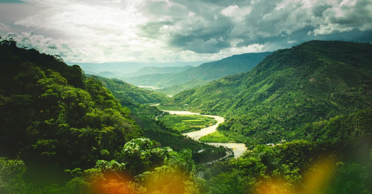 A river winds through the trees in Peru