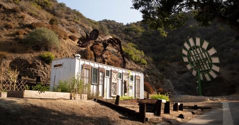 muse school rebecca amis