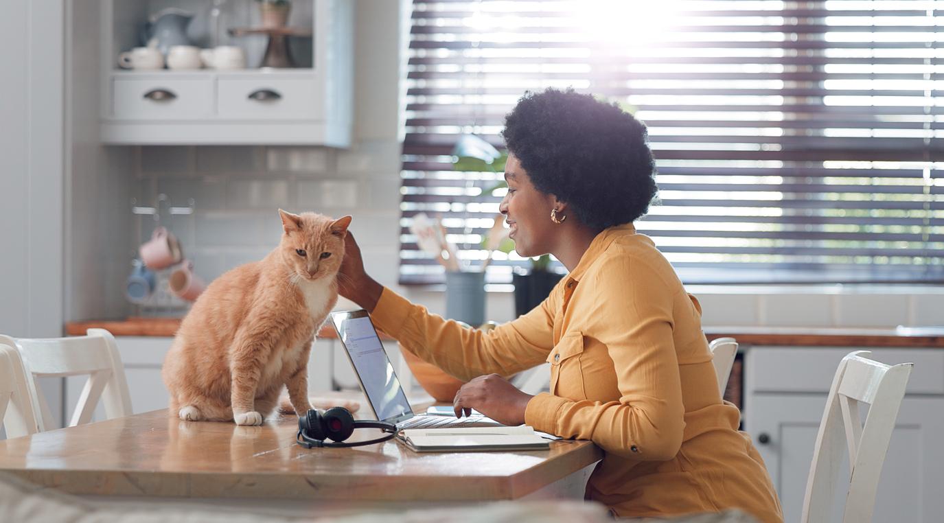 An orange cat receives pats behind the ear by her mom while sitting at the table.