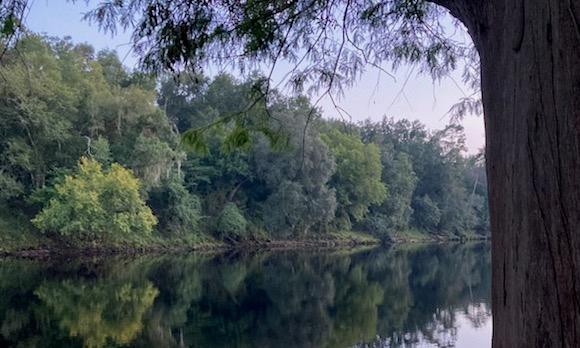 The Suwannee River