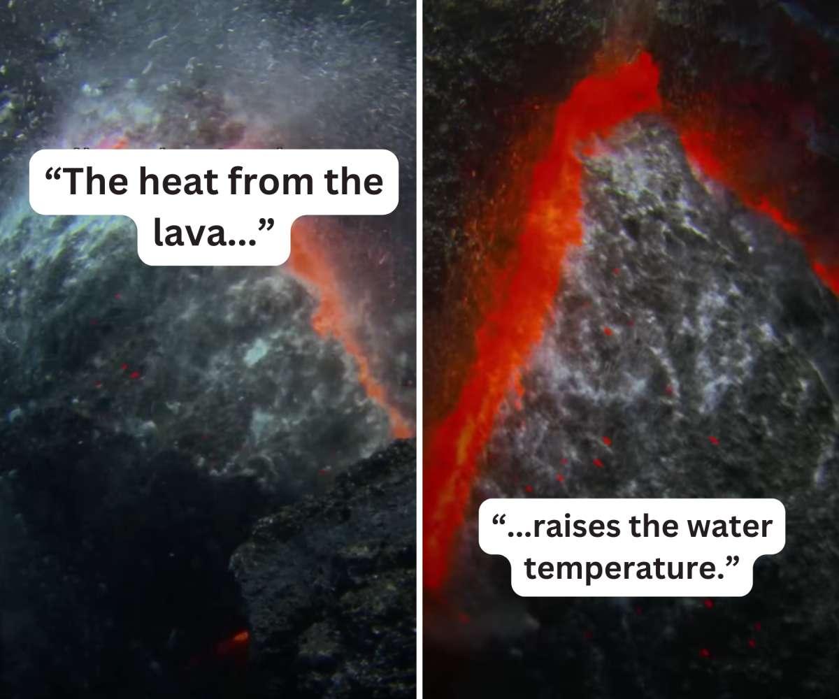 pn/fceda d  bcb bbafdb