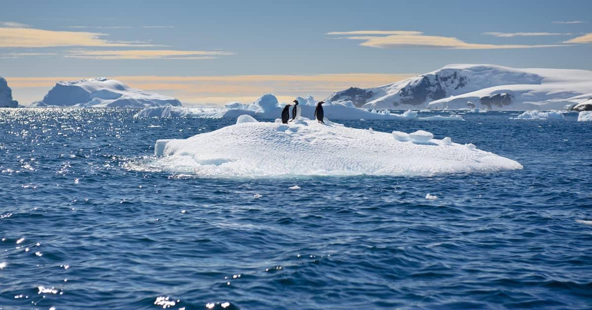 Three penguins standing on an iceberg in the middle of the ocean with glaciers in the background.