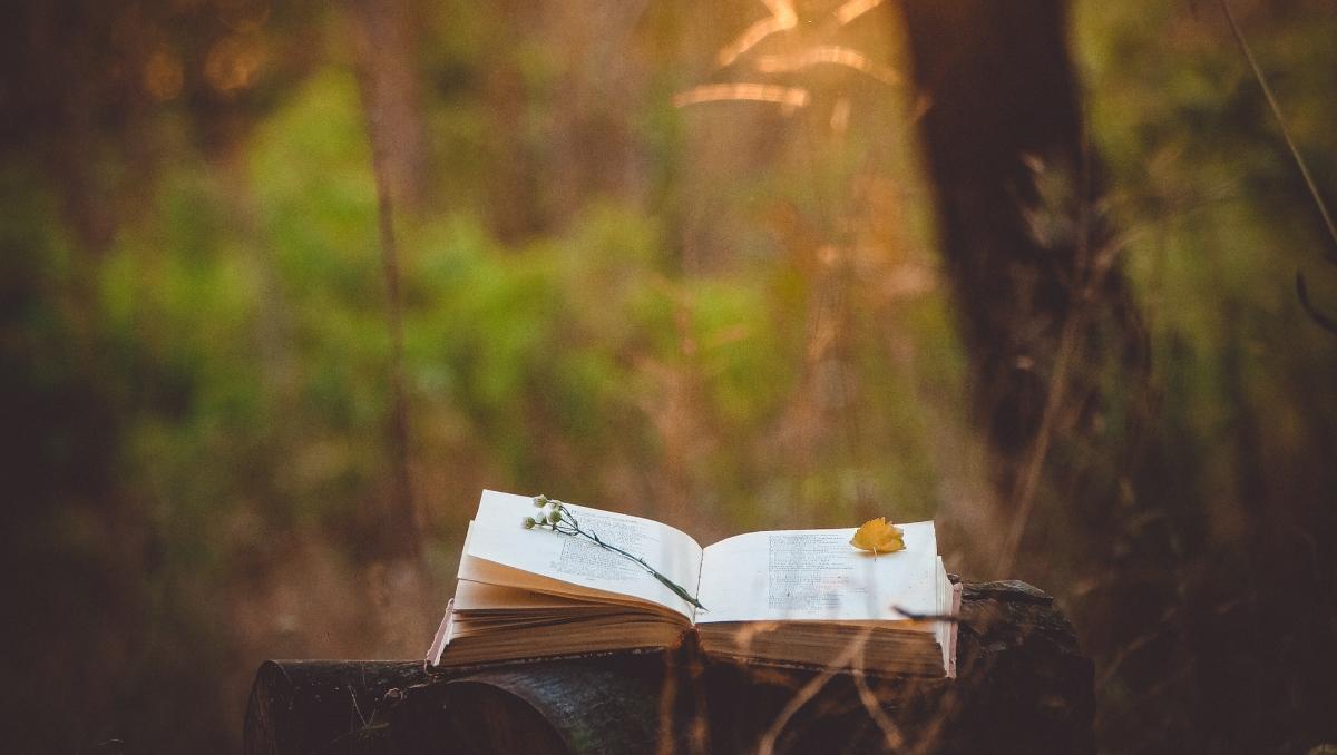 An open poetry book sits on a tree stump in the forest with a few flower petals on top. 