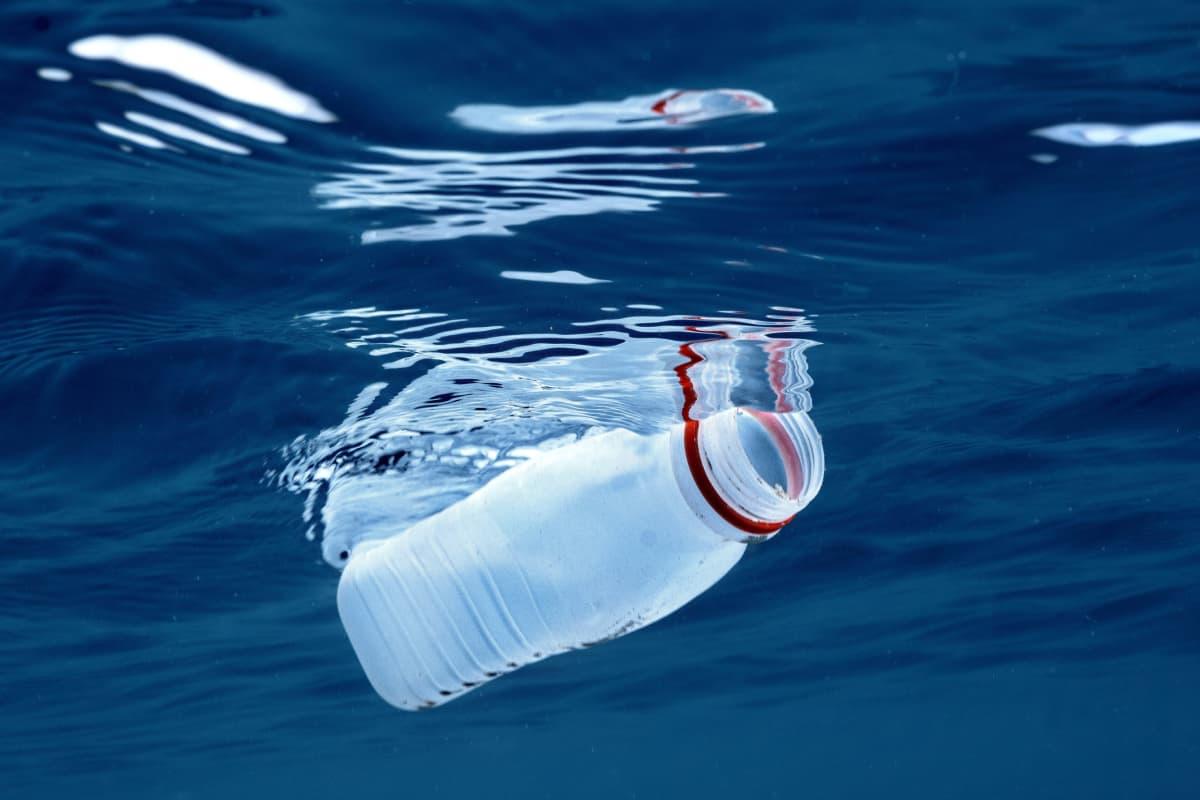 pn/aadc ffe bf b aab