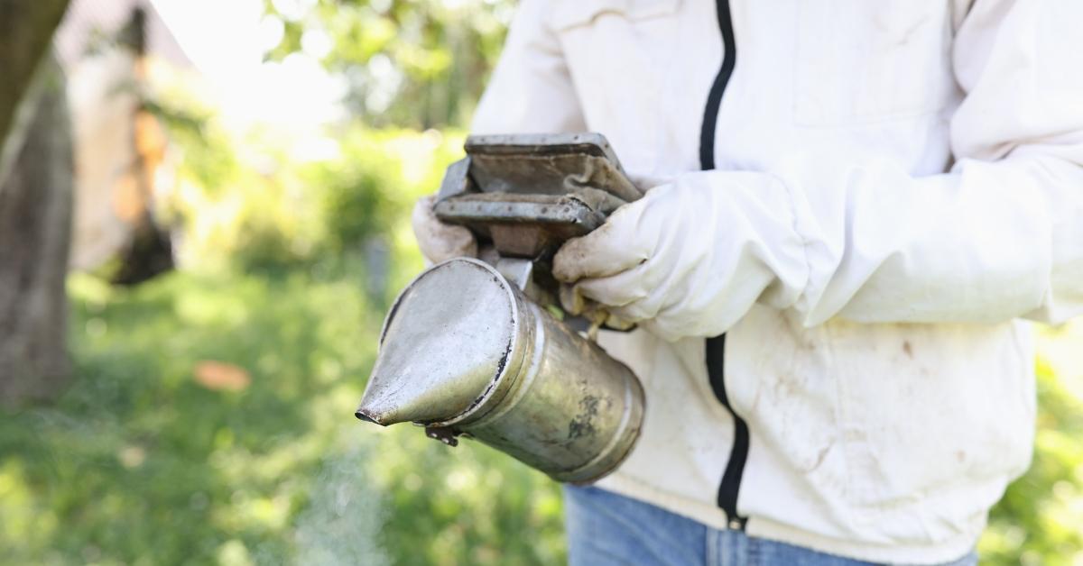 Honey Bee Hive Removal