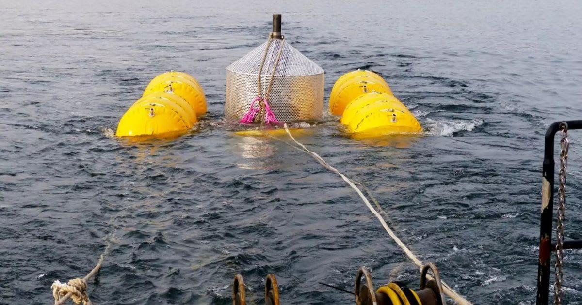 pn/abce c e bb bfddc