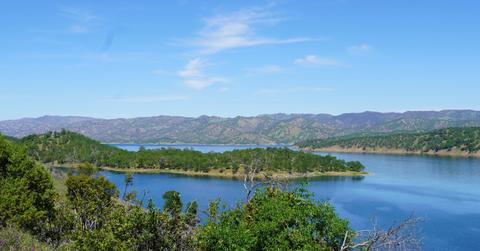 Lush greenery on Lake Berryessa