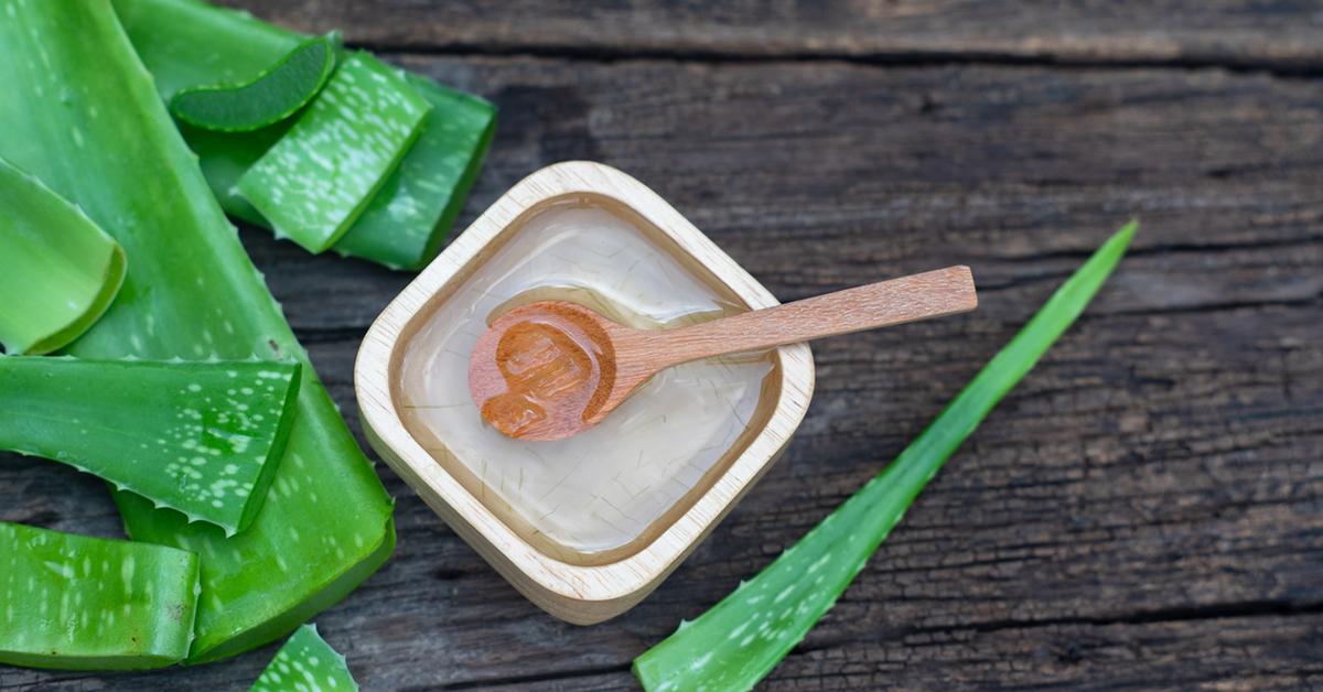 How To Make Hand Sanitizer With Fresh Aloe Plant