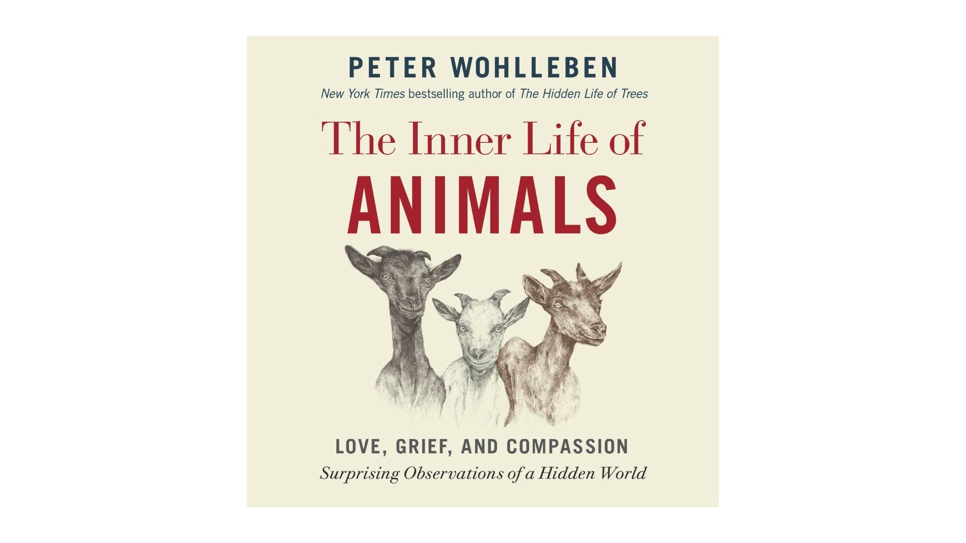 The cover of The Inner Life of Animals by Peter Wohlleben.