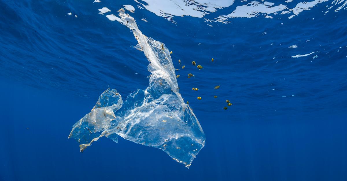 Plastics: What's Recyclable, What Becomes Trash — And Why