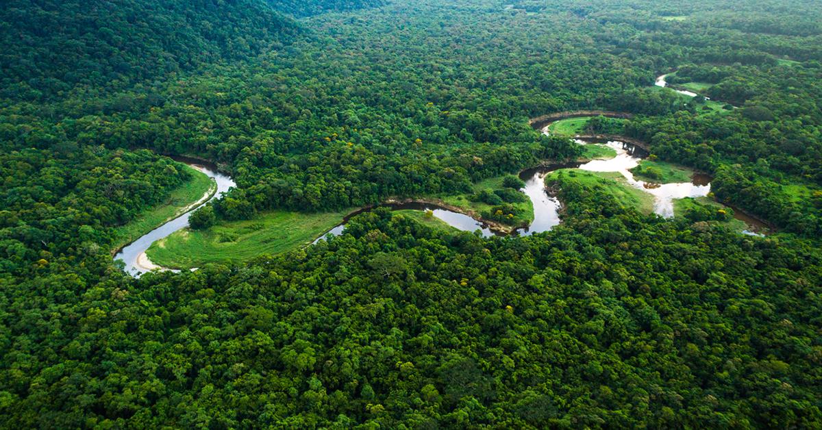 amazon river