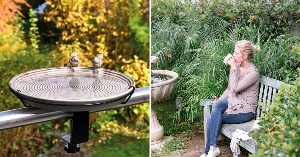(L) Aldi's Belavi Bird Drinking Trough (Cover Image Source: Aldi's website) | (R) Sparrows in a birdbath. (Representative Cover Image Source: Getty Images | Mint Images)