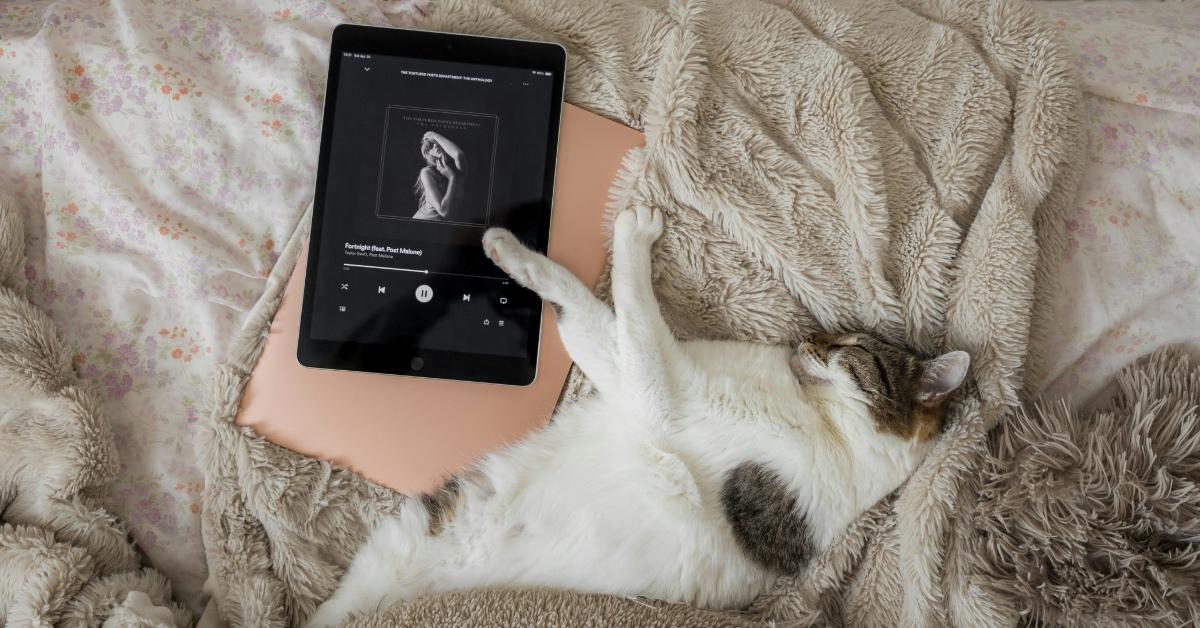 A white and brown tabby cat lays in brown planets next to an iPad playing Taylor Swift's "Tortured Poets Department."