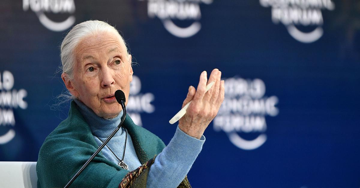 Jane Goodall