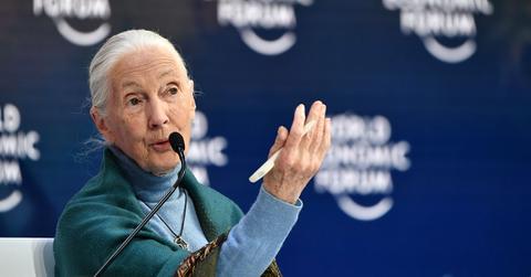Jane Goodall