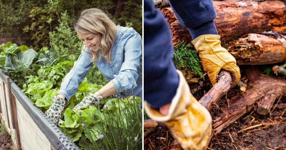 (L) Woman tends to plants in a raised garden bed | (R) Person working in a Hügelkultur bed (Representative Cover Image Source: Getty Images | (L) EpixImages, (R) Sanghwan Kim)