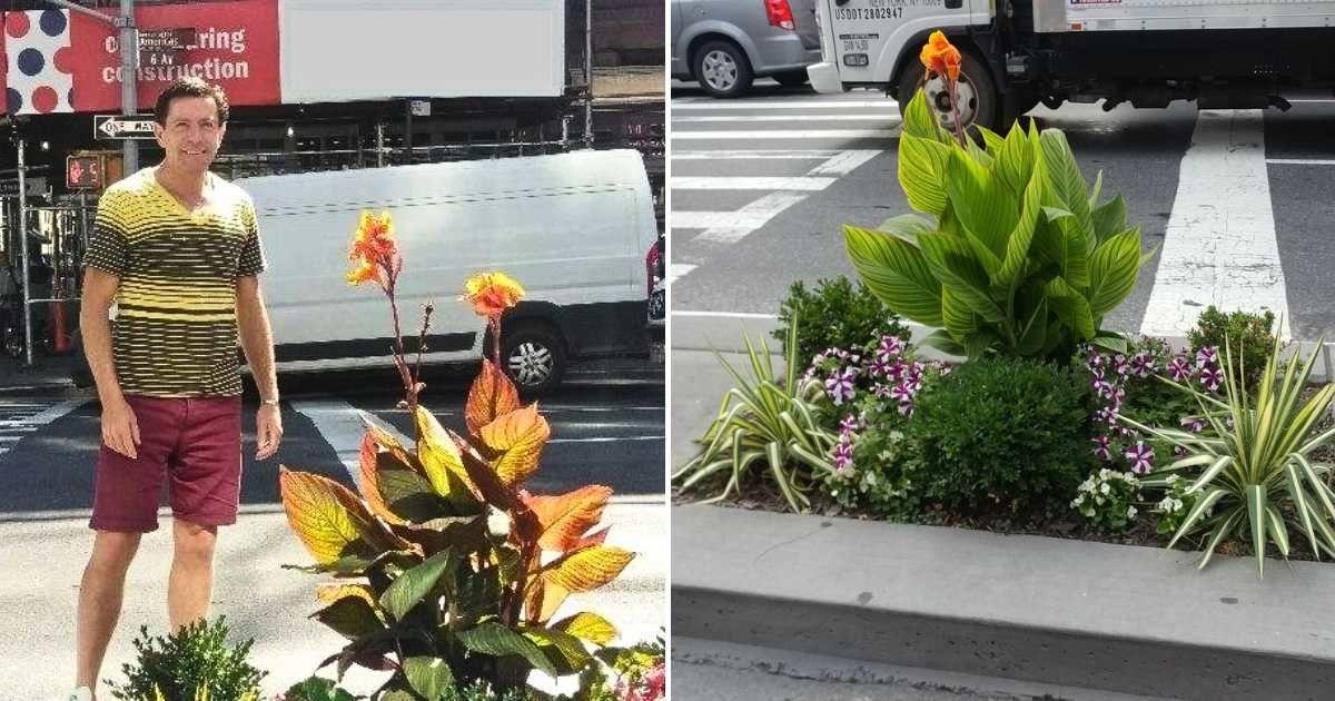 David Kass, a man who is transforming New York City one flowering bed at a time (Cover Image Source: Facebook | @JustOnePerson)