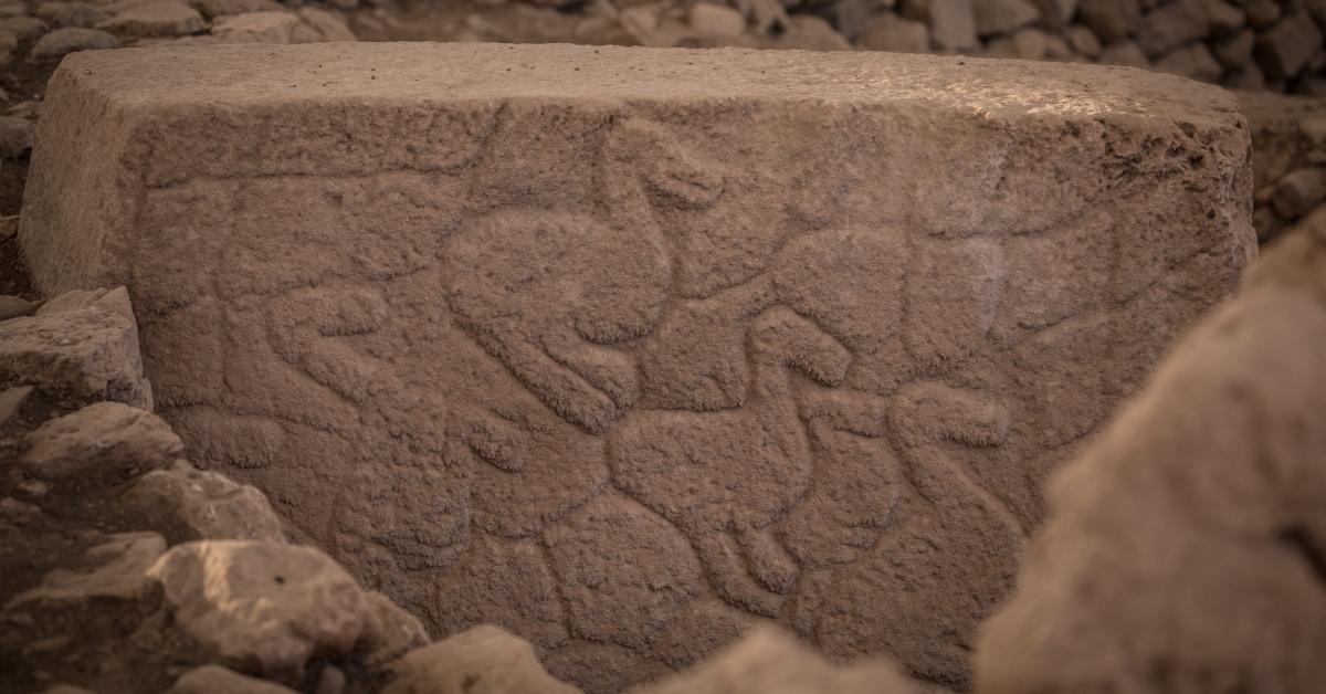 Carvings found at Gobekli Tepe archeological site. 