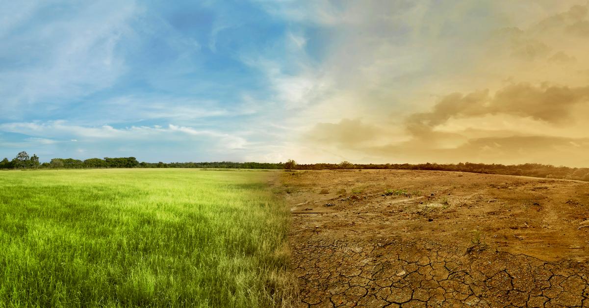 Landscape of meadow field with the changing environment stock photo